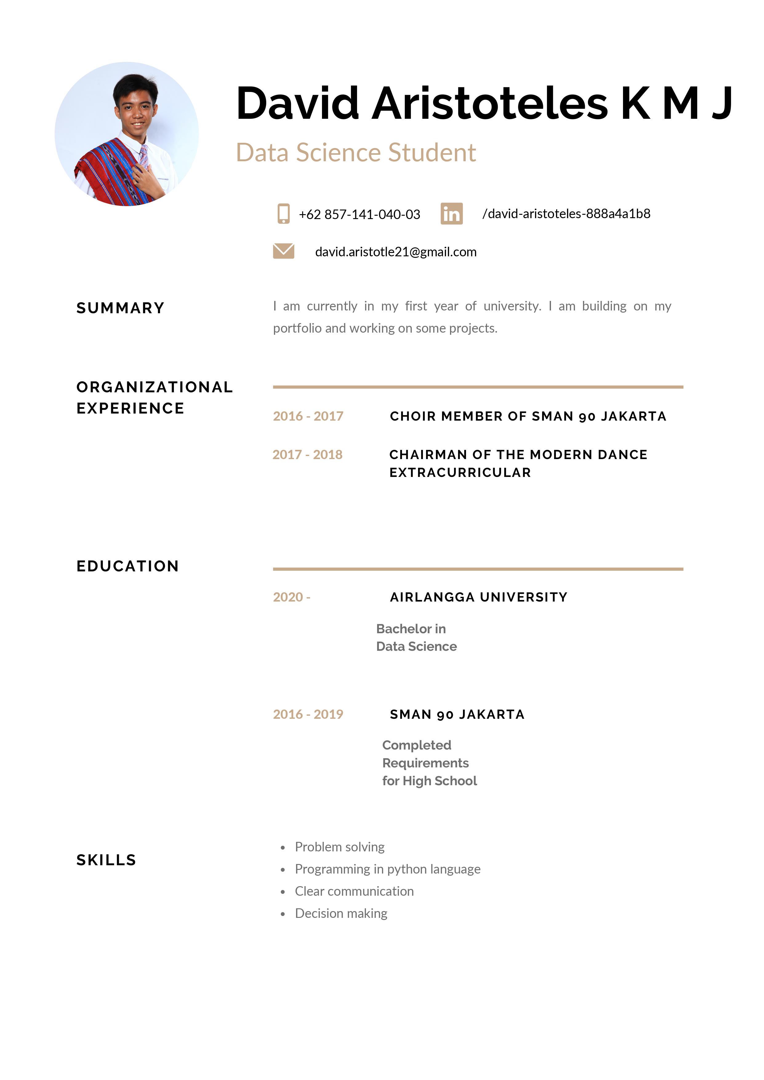 David Metan Jr's CV